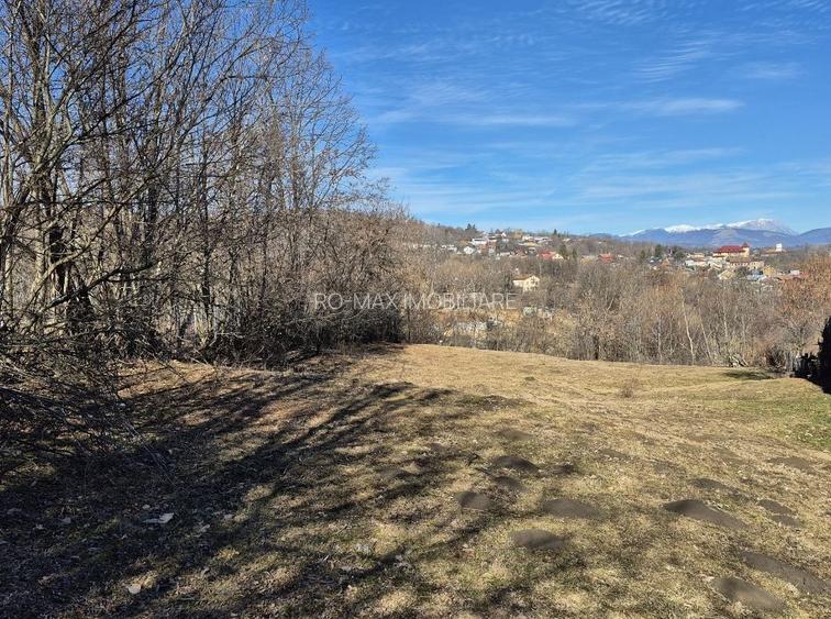 Teren intravilan 3526 mp cu vedere superba catre munte! - 11