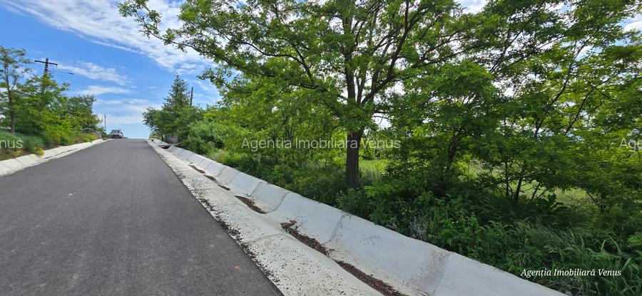 Terenuri de vanzare la Oraseni - 3