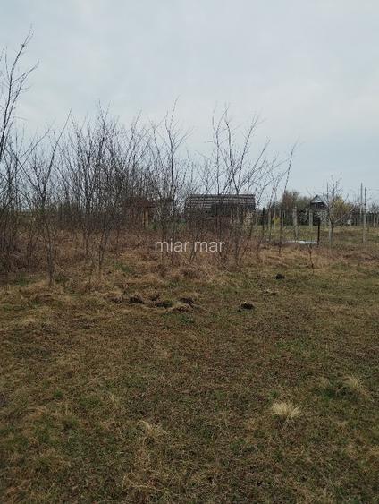 Teren 1500 mp Rediu -Horlesti, Iași  - 6