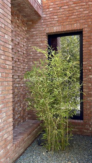 Casa Parter Exclusivista | Design Minimalist | Otopeni - 22