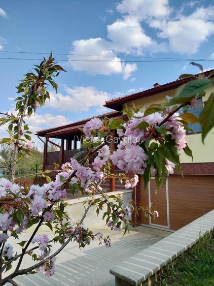 Casa individuala cu teren 750mp, garaj, beci, terasa - Dezmir, zona centrala - 16