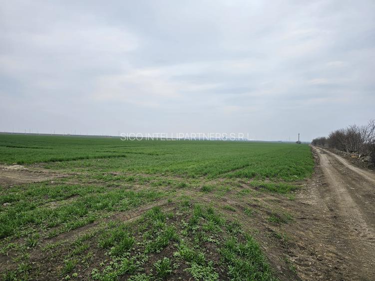 Teren de vânzare  Tunari  27 euro mp - 2