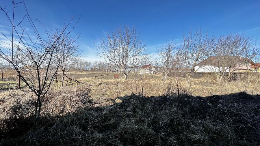 Teren intravilan cu hala construita - 6