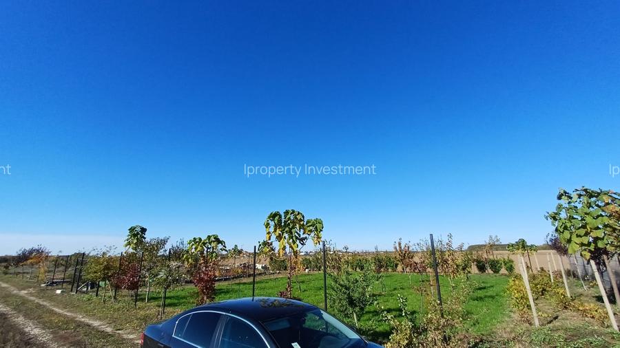 Corbeanca | Teren 800mp | Utilitati la 50m | Deschidere 32mp - 3