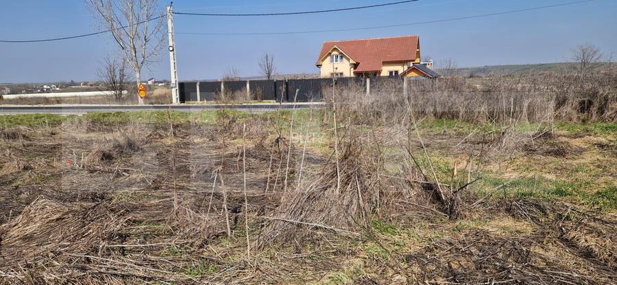 Teren intravilan, 15256 mp, deschidere bilaterala, zona Robanesti - 3