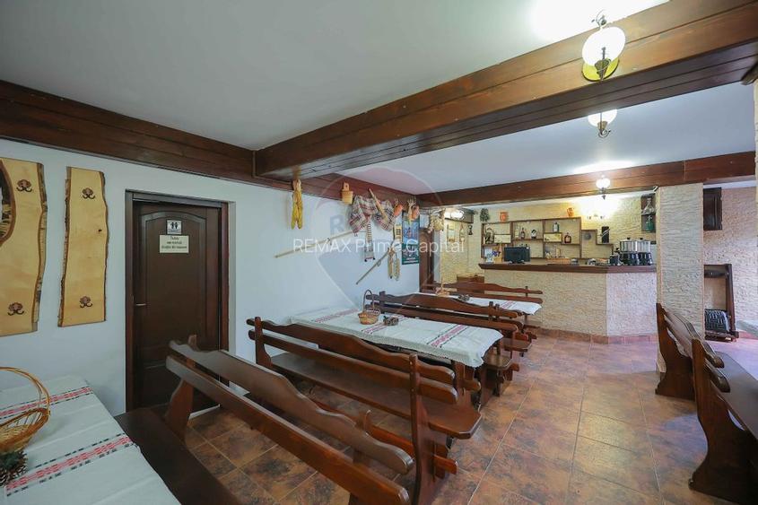 Oportunitate de investiție, Restaurantul Piatra Grăitoare,Vârtop,Bihor - 21