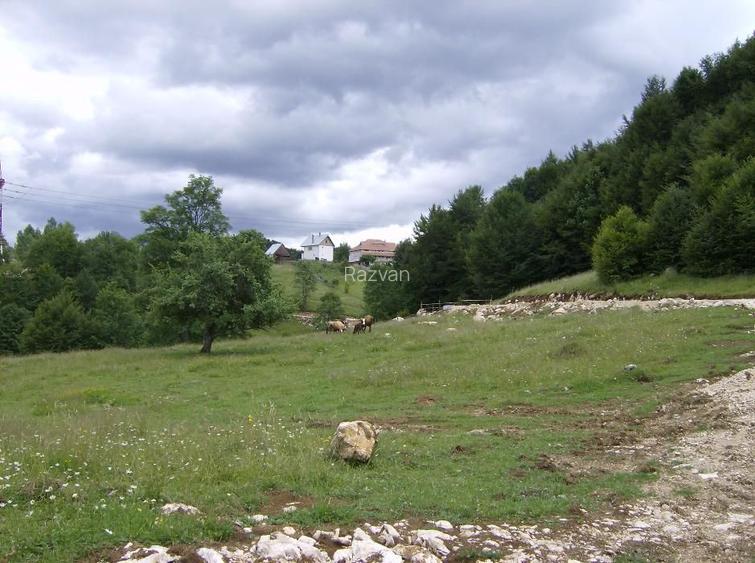 Teren pensiune, Bran-Fundata, platou cu vedere unica 8000mp - direct propietar - 6