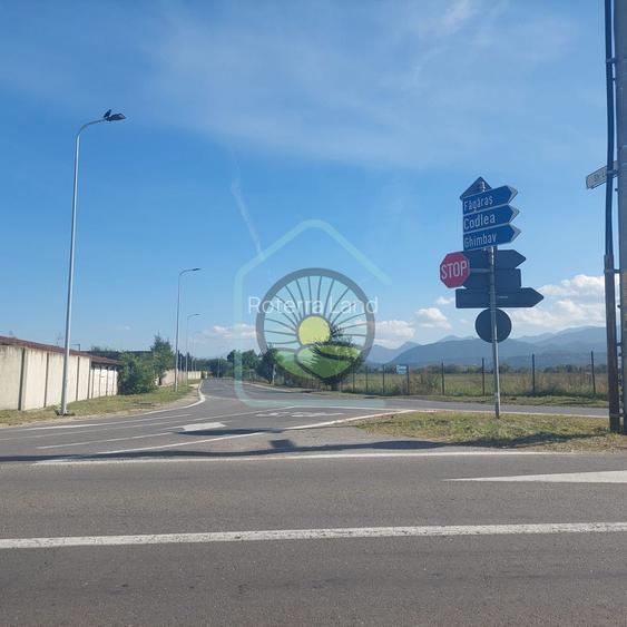 TEREN STUPINI BRASOV - 6