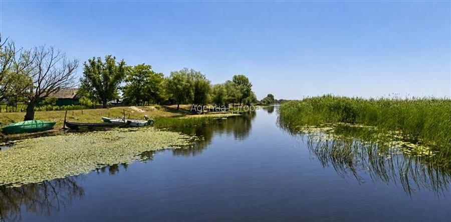 Teren cu deschidere la canal în Letea – 2.557 mp | Delta Dunării | - 5