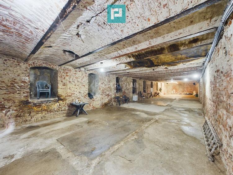 Spațiu ultracentral la demisol - 4