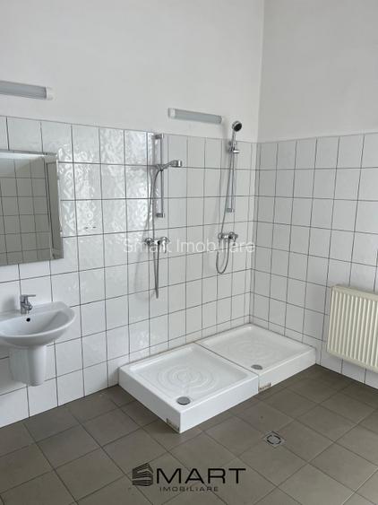 Spatii de inchiriat &acirc; Depozitare | Productie | Birouri Cisnadie - 6