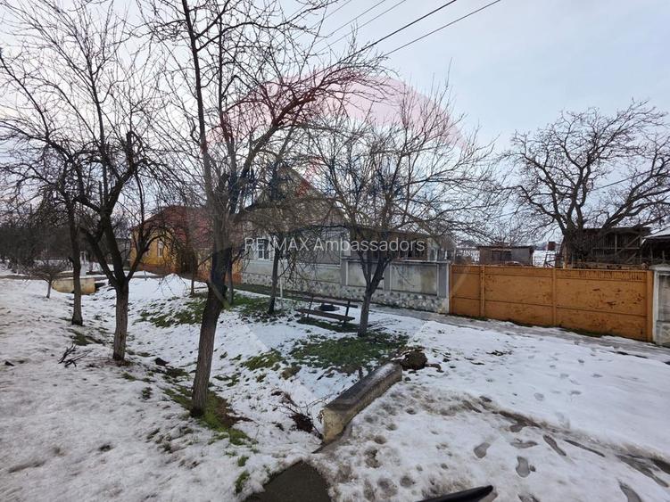 Gospodarie de vanzare in Giulvaz, judetul Timis - 5