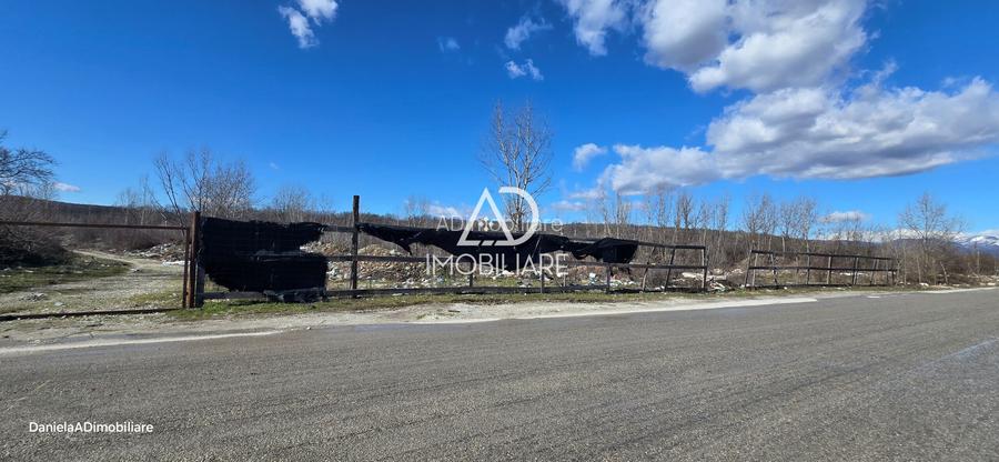 Teren Intravilan de vânzare 12.771 mp – zonă industrială Bârsești - 3