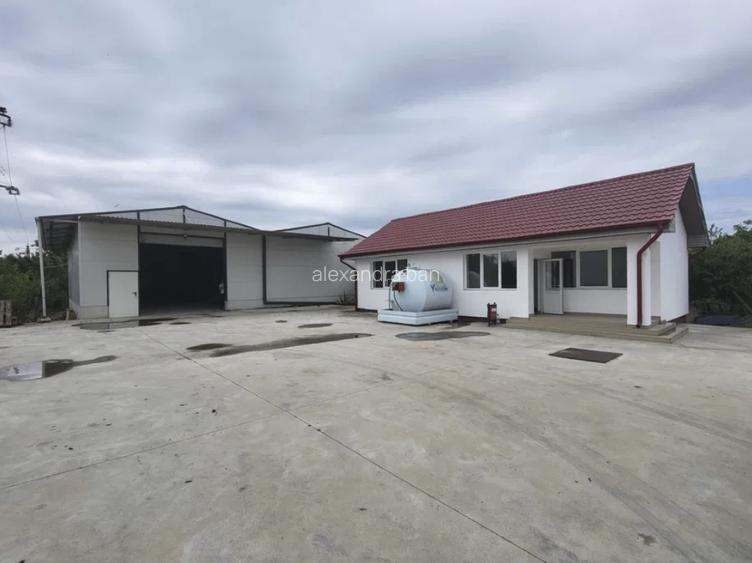 Moară cereale 50 t/zi + afacere funcțională | teren + hale | Bihor - 13
