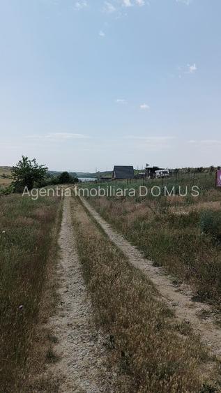 Vand 2700 mp in Sat Costi in zona lacului Vanatori - 3