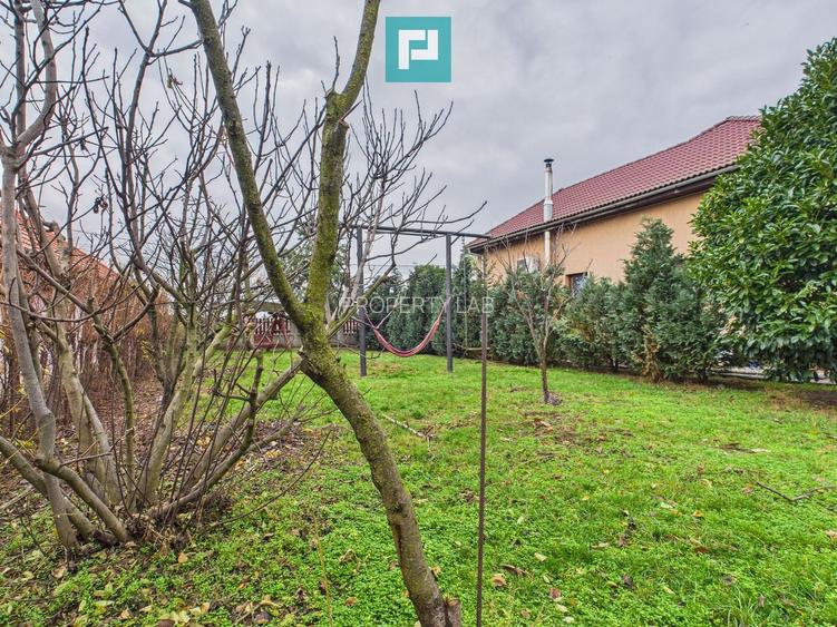 Casă individuală spațioasă, la 10 km de Timișoara - 47