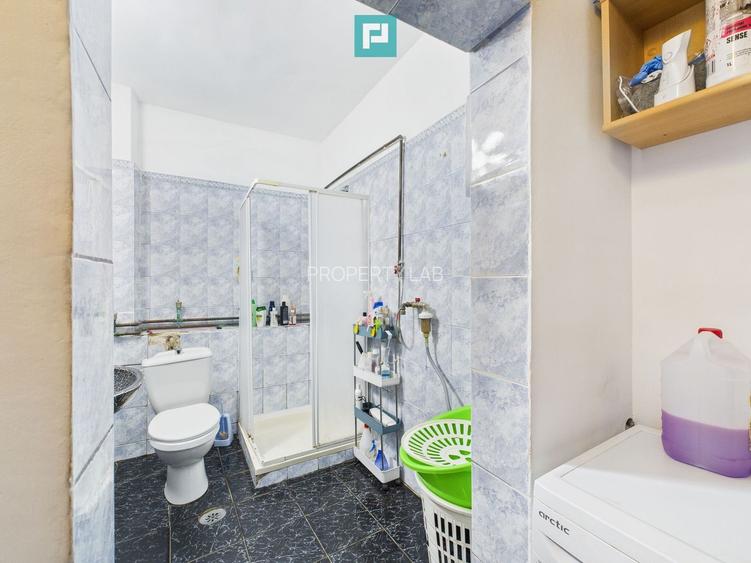 Casă individuală la Beregsău Mare, 2890 mp teren - 23