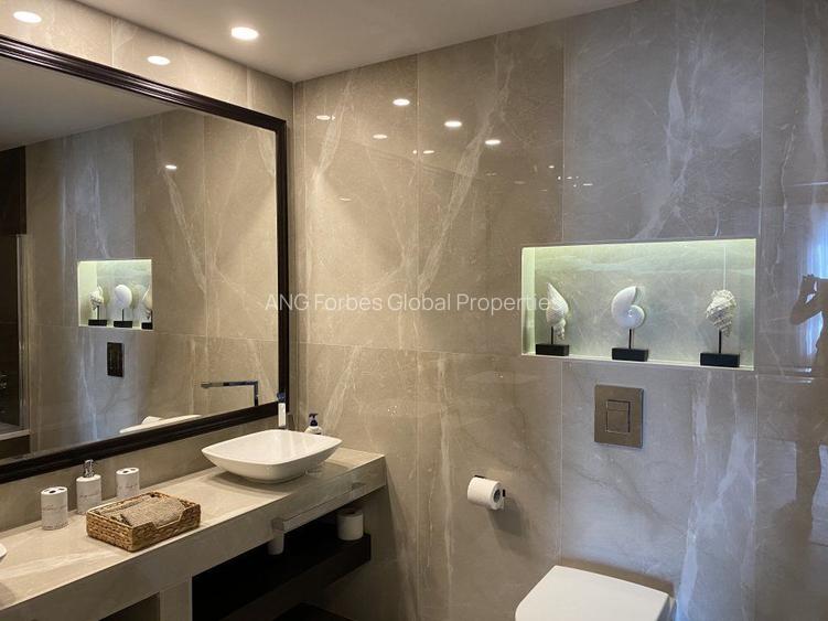 PENTHOUSE CU PISCINA DE INCHIRIAT I ZONA IANCU NICOLAE - 4