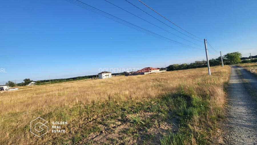 Terenuri  de vanzare in comuna Sag Timis - 2