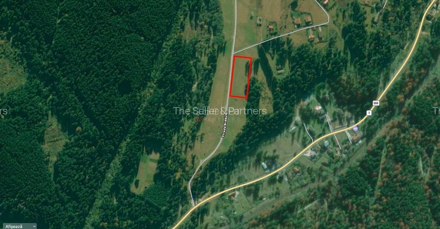 Poiana lui Manole - teren Intravilan - 4