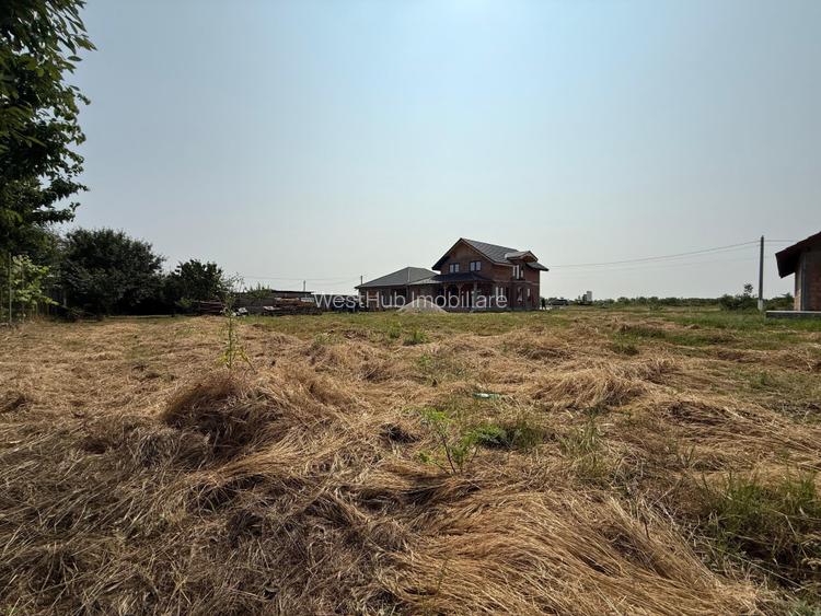 Inchiriem viitorul pe metru patrat, teren 800 mp, intravilan- Peciu Nou - 4