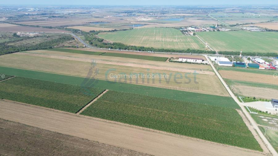 Teren intravilan de vanzare, 66400 mp, langa Oradea, Bihor  - 8