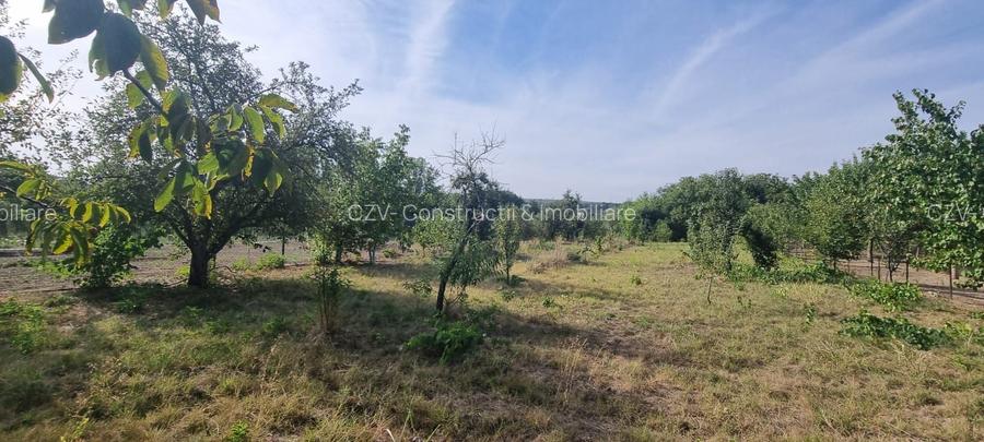 Teren 2000 mp de vânzare – Comana, deschidere la lac, aproape de Parcu - 3