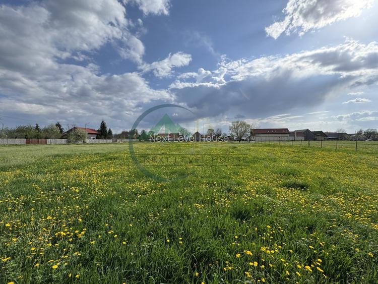 Teren Sat Bacel 6200 mp - 5