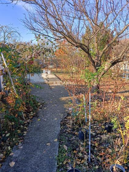 Casa 3 camere 100 mp | teren 937 mp | Vladeni central | mansarda |mobilat utilat - 15