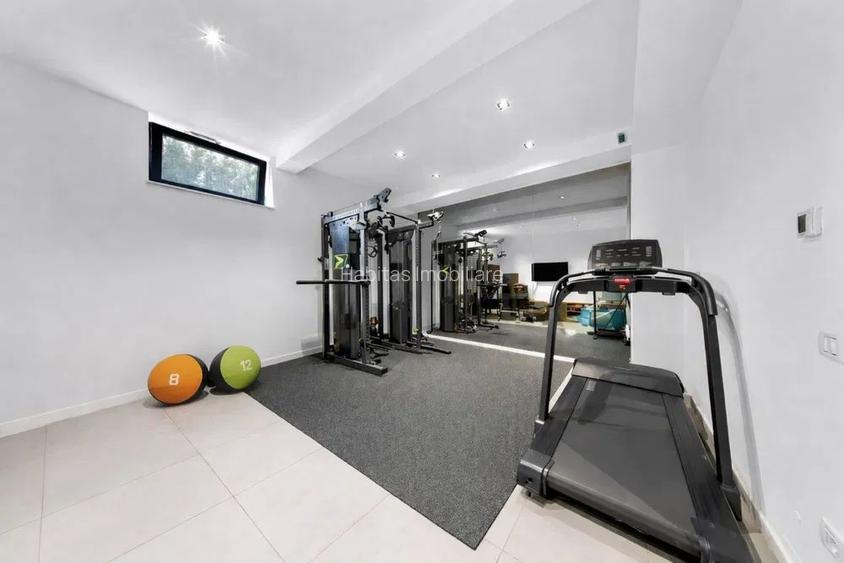 Vilă exclusivistă la intrare în Făget | 1000 mp teren | Panoramă spect - 7