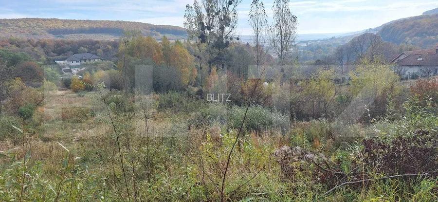 Investitie ! Proiect autorizat casa alipite , Feleacu ,Valea Caprioarei  ! - 4