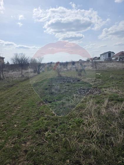 Loturi teren 500 /1000 mp Dumbraveni Balotesti utilitati