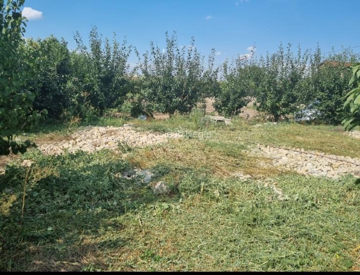 Ocazie! Teren intravilan-3417m-deschidere 54m-toate utilitatile-Poiana-Constanta - 8