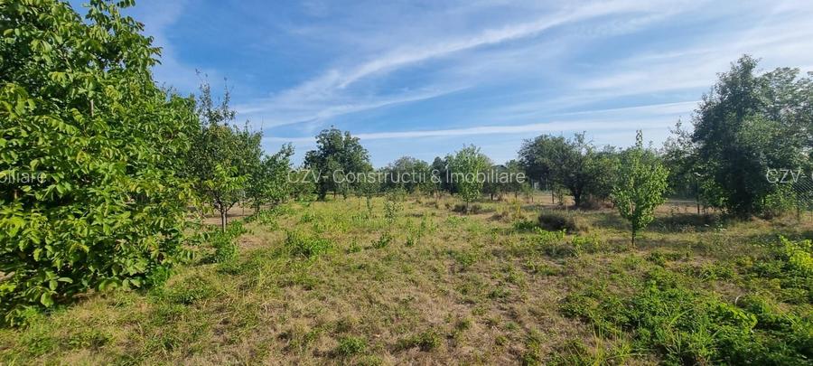 Teren 2000 mp de vânzare – Comana, deschidere la lac, aproape de Parcu - 12