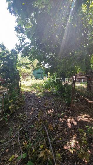 Apartament 3 camere | Otopeni | Gradina | Parcare - 12