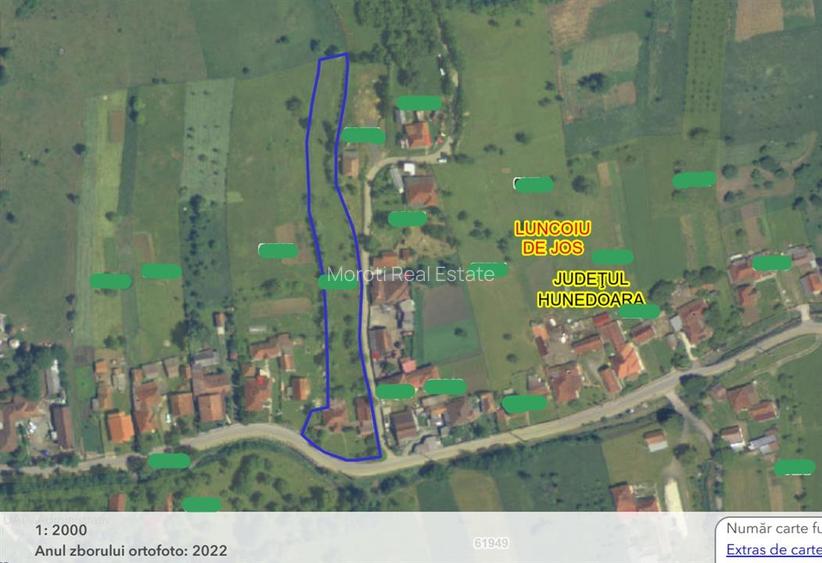 Gospodarie cu teren generos si constructii solide intr-o zona linistita - 20