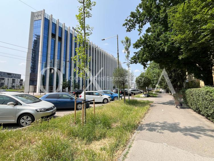 SX567 Take Ionescu, Ideal Investitie - 14