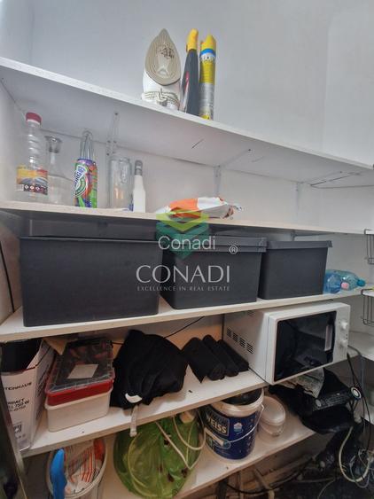 Apartament cu 3 camere zona Iancului - Pache Protopopescu - 13