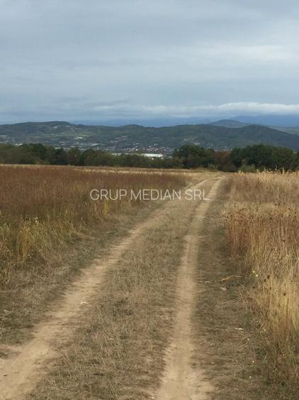 Teren 2250 mp Budesti, extravilan - 4