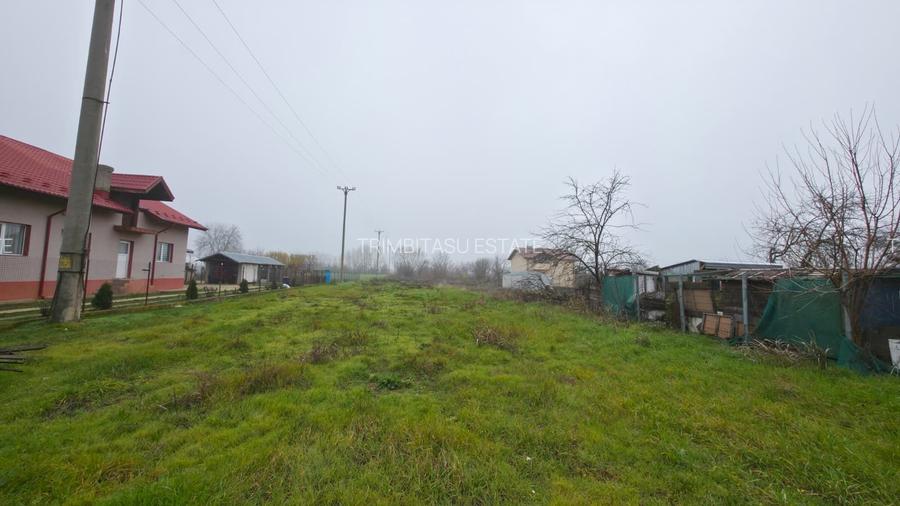 Teren intravilan de vânzare – Ciorogârla, Ilfov - 2