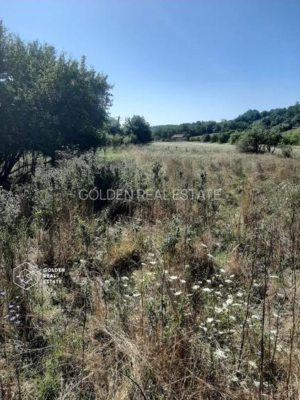 Terenuri 3699 mp, oras Lipova - 3