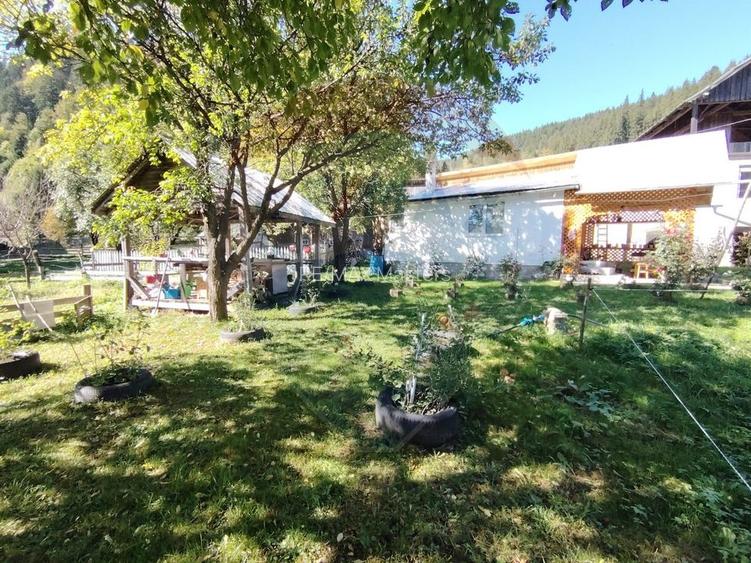 Casă în Vatra Dornei, zona Argestru, cu 11.541m.p. TEREN INTRAVILAN - 12