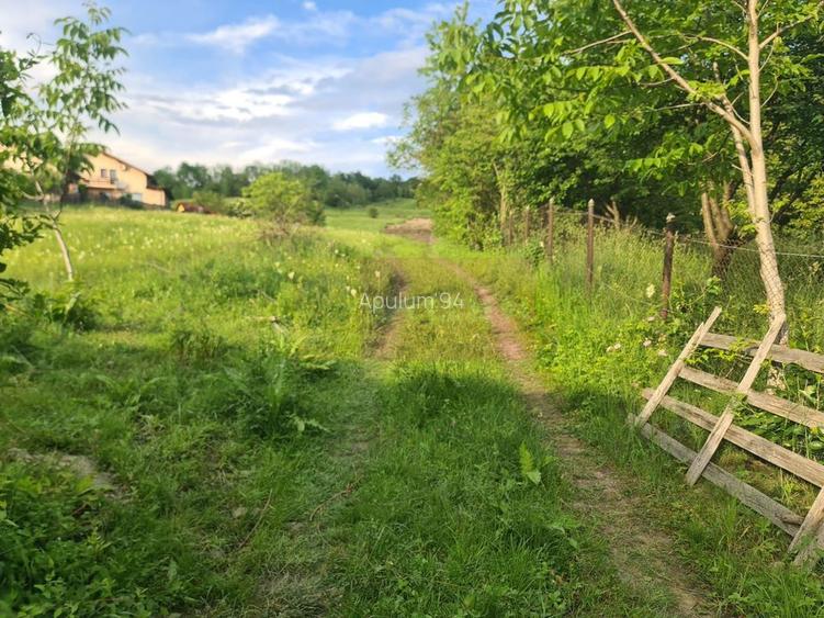 Teren Construcții intravilan de 471 mp, în Mușcel - 4