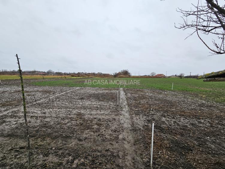 Casă individuală, cu 3 camere, în localitatea Ivanda, la 30 km de Timișoara - 27