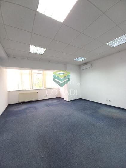 Birou de inchiriat // Domenii // Mihalache - 14