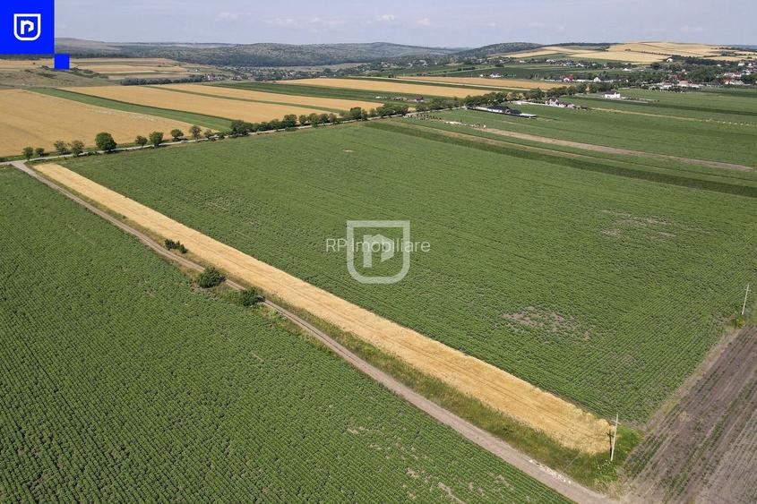 Teren - Orășeni Deal, Curtești | BOTOȘANI | 10.000mp - 5