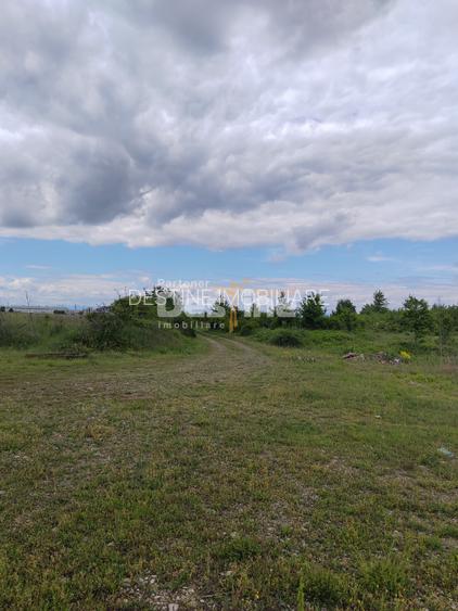 Teren extravilan, 114000 mp, Parc industrial West Park - 15