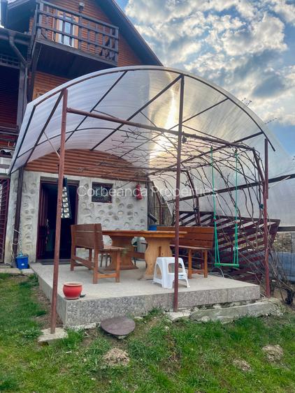 Inchiriem cabana in Calimanesti (Seaca), cu ponton la Olt, gradina - 8