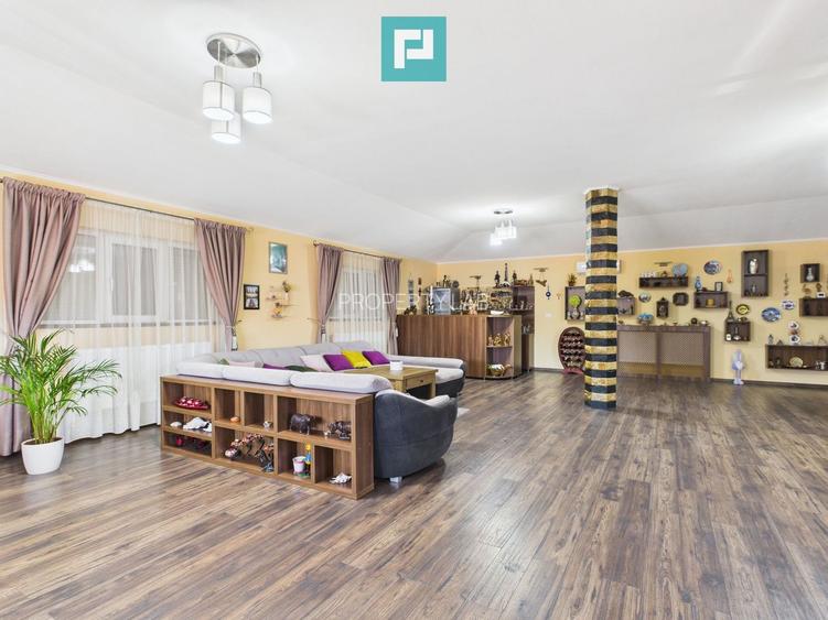 Pensiune la Orțișoara - 23