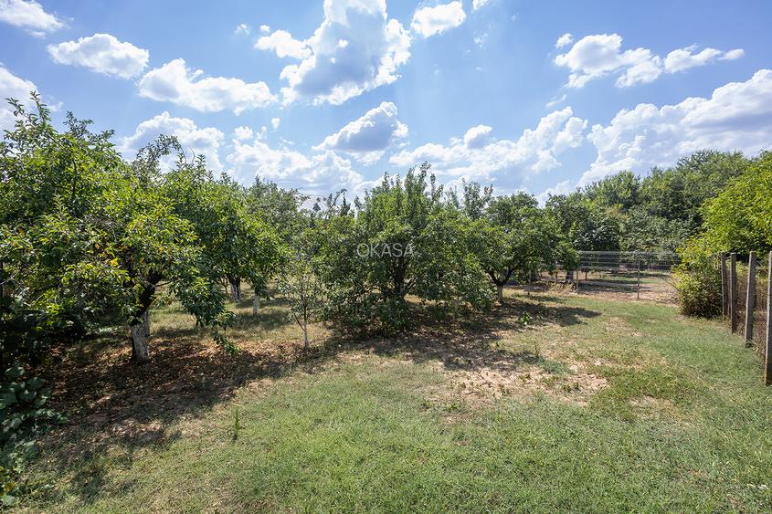 Locație rară: casă între pădure și apă, perfectă pentru un proiect de suflet - 34